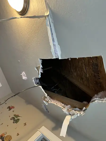 Oh RATS! How to Prevent Water Leaks in Your Home