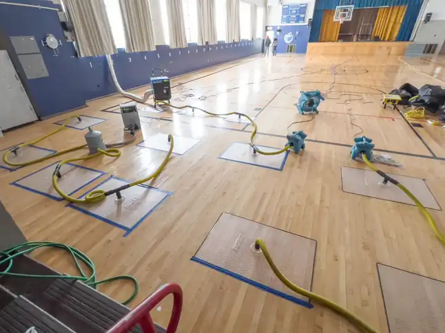 Floor-drying mats taped to a school gymnasium floor, yellow suction hoses running to a dehumidifier and teal air movers
