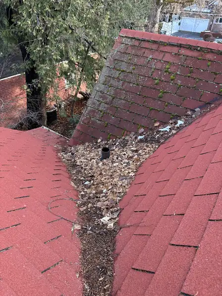 Red shingle roof valley packed with leaf debris, moss growing on the shingles of the slope beside it